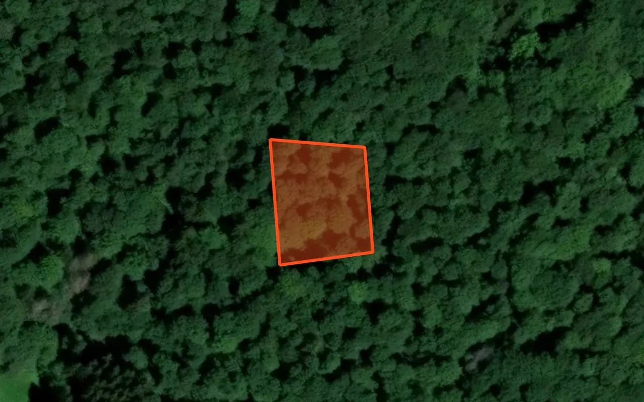 Satellitenkarte mit exakt zugewiesener, markierter Schutzfläche im Buchenwald bei Wershofen