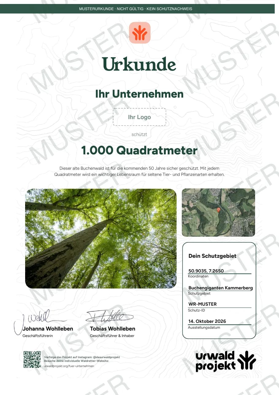 Beispiel einer Musterurkunde